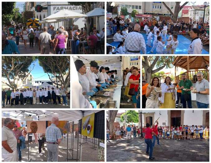 Collage de fotos de las actividades de este jueves festivo en Telde/TA.